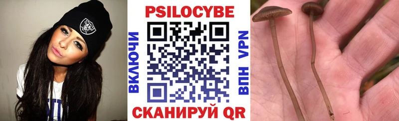 Галлюциногенные грибы прущие грибы  Прохладный 