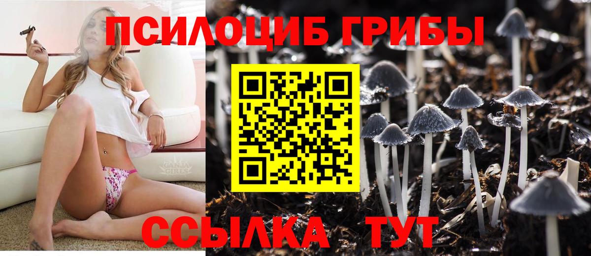 Псилоцибиновые грибы GOLDEN TEACHER Прохладный